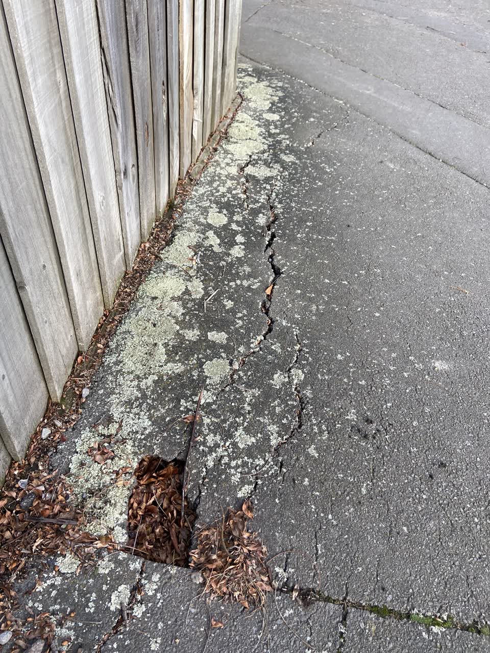 The photograph attached to this roading/streets report