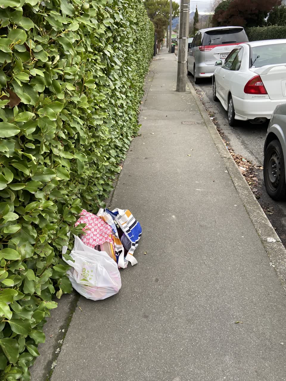 The photograph attached to this rubbish/recycling report