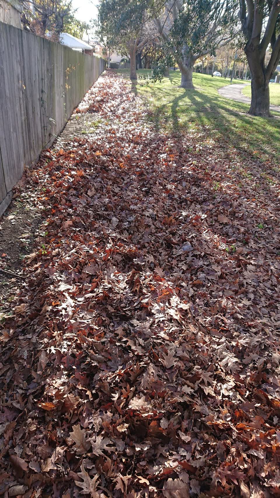 The photograph attached to this parks report
