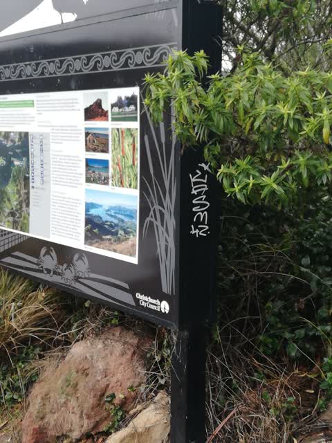Graffiti, a report photo