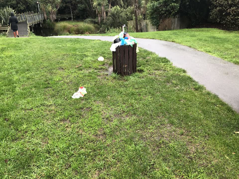 The photograph attached to this rubbish/recycling report