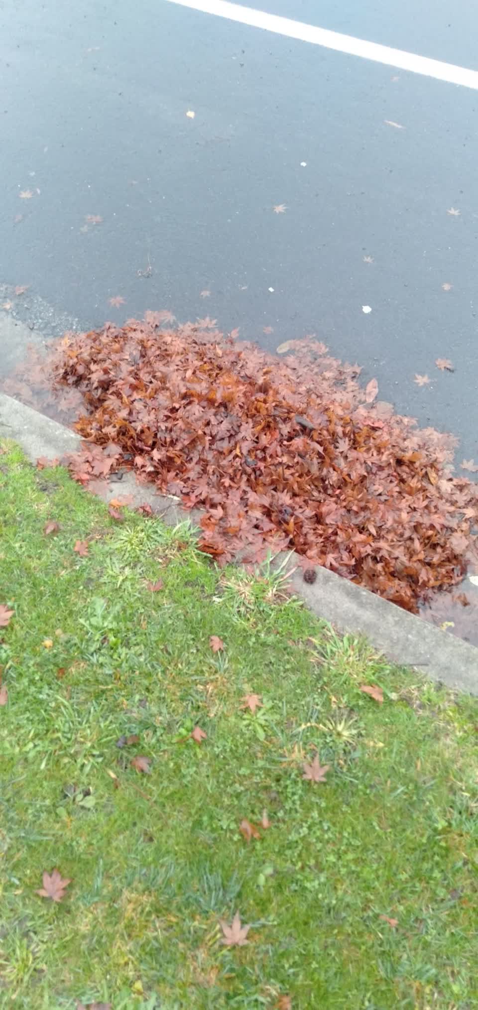 The photograph attached to this flooding report