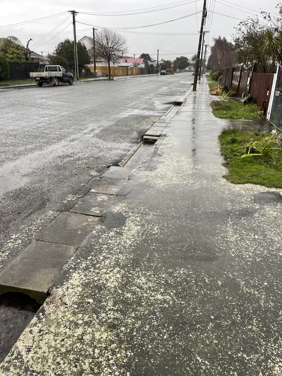 The photograph attached to this roading/streets report