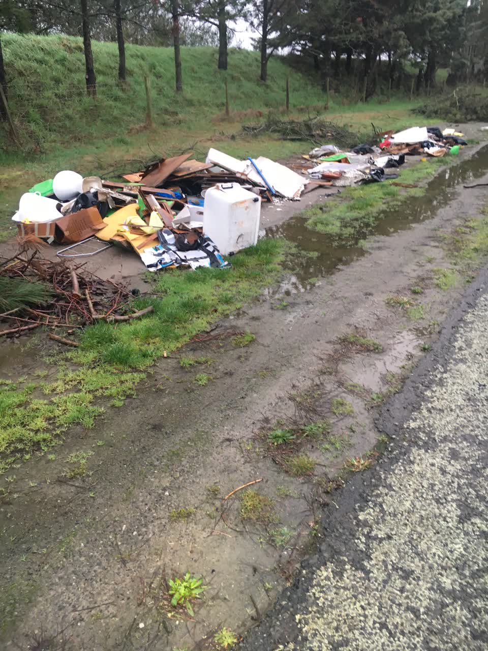 The photograph attached to this rubbish/recycling report