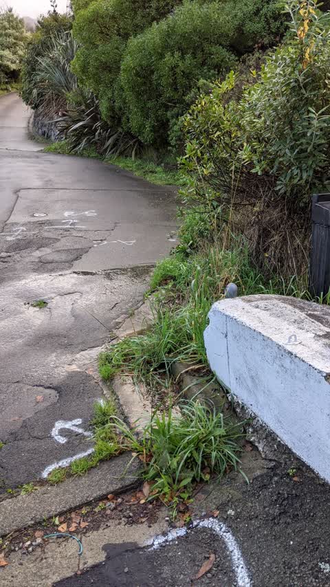 Roading/Streets, a report photo