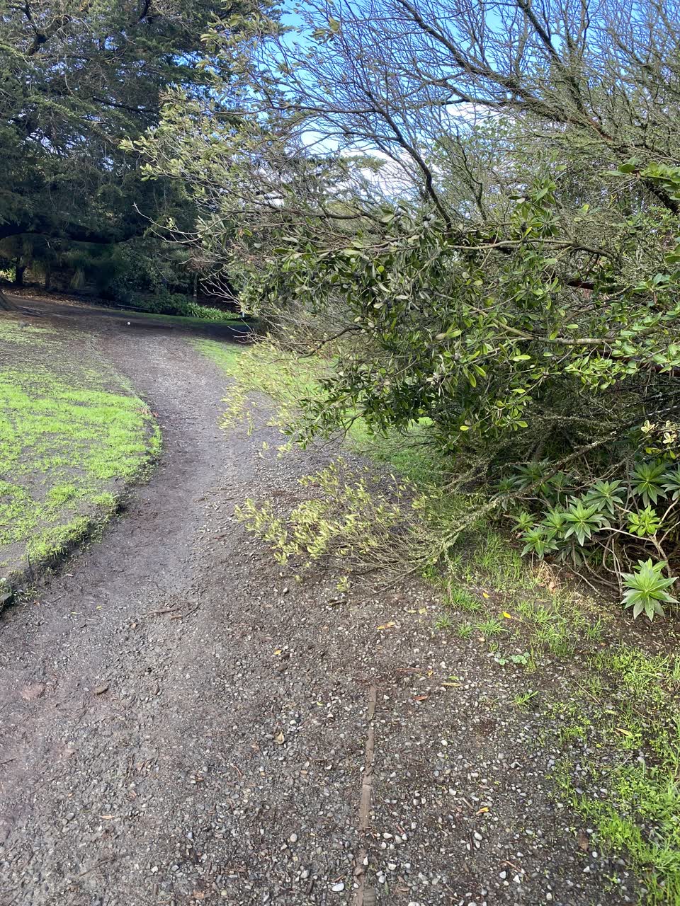The photograph attached to this parks report