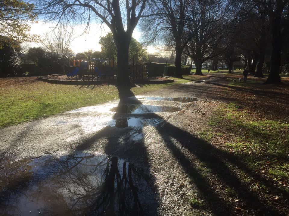 The photograph attached to this parks report