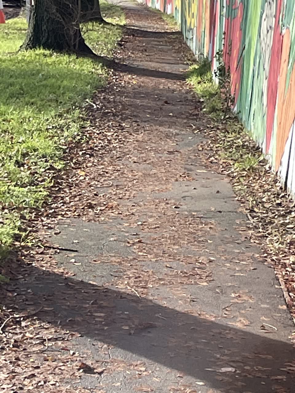 The photograph attached to this roading/streets report