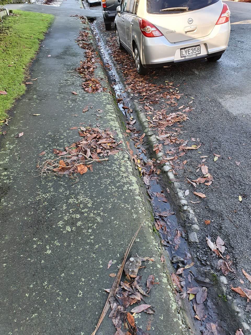 The photograph attached to this roading/streets report