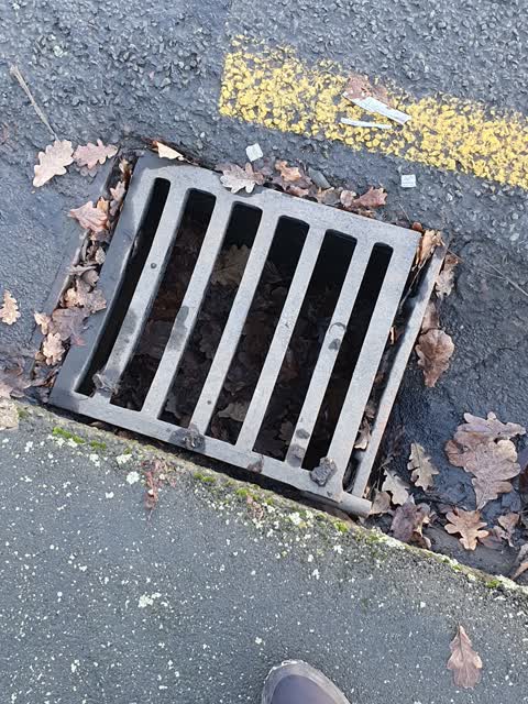 Roading/Streets, a report photo