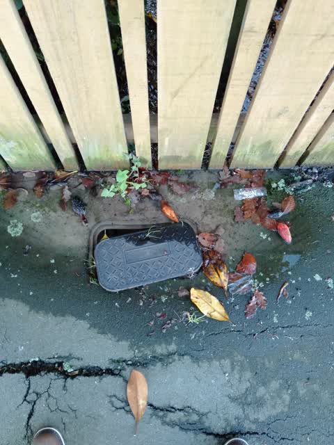 Roading/Streets, a report photo