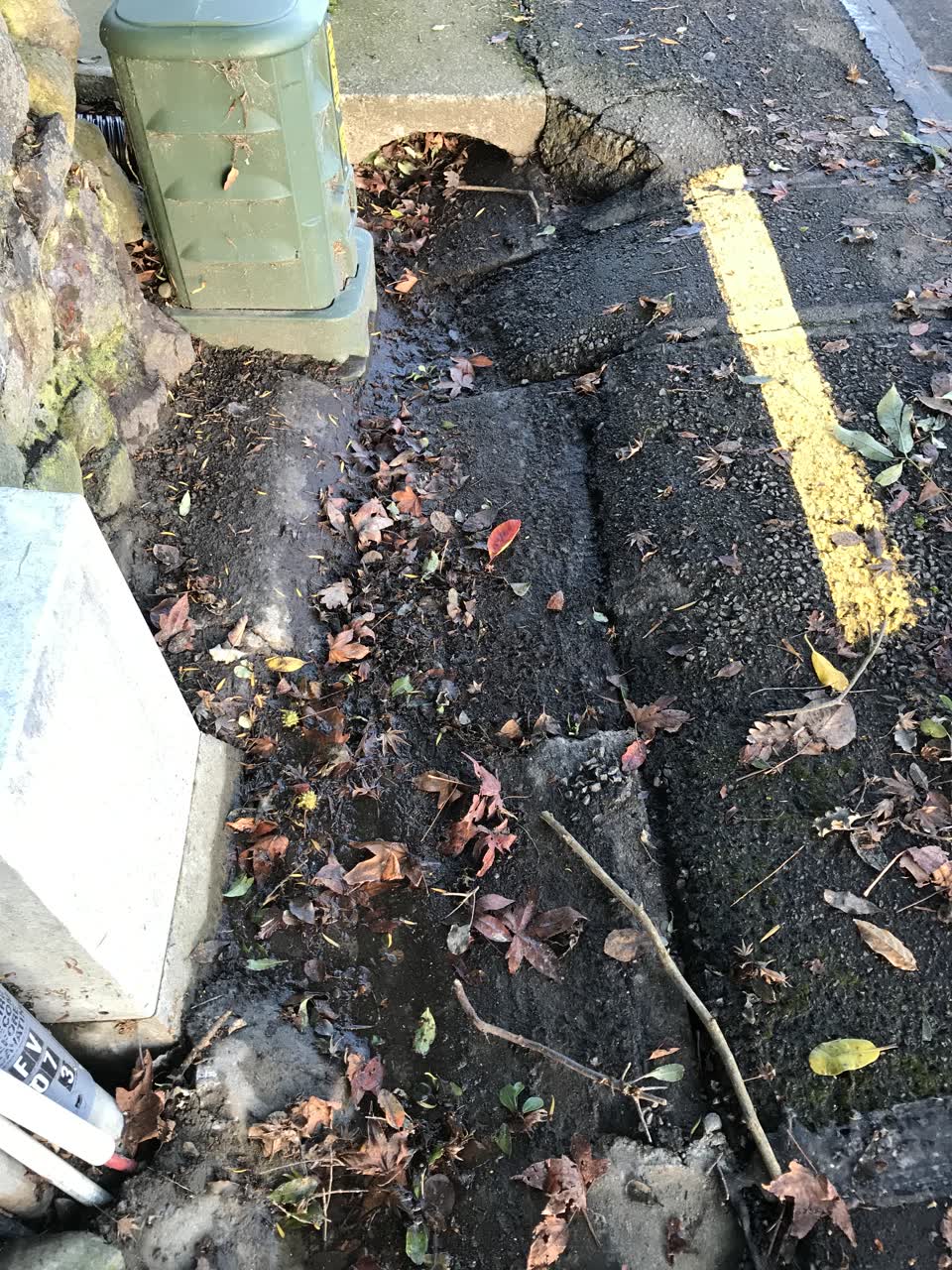 The photograph attached to this roading/streets report