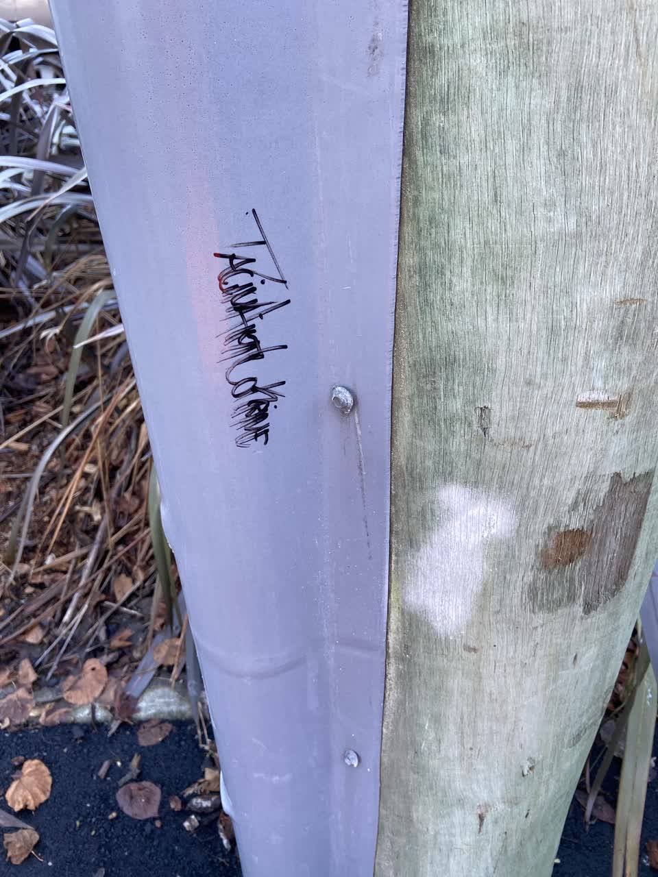 The photograph attached to this graffiti report