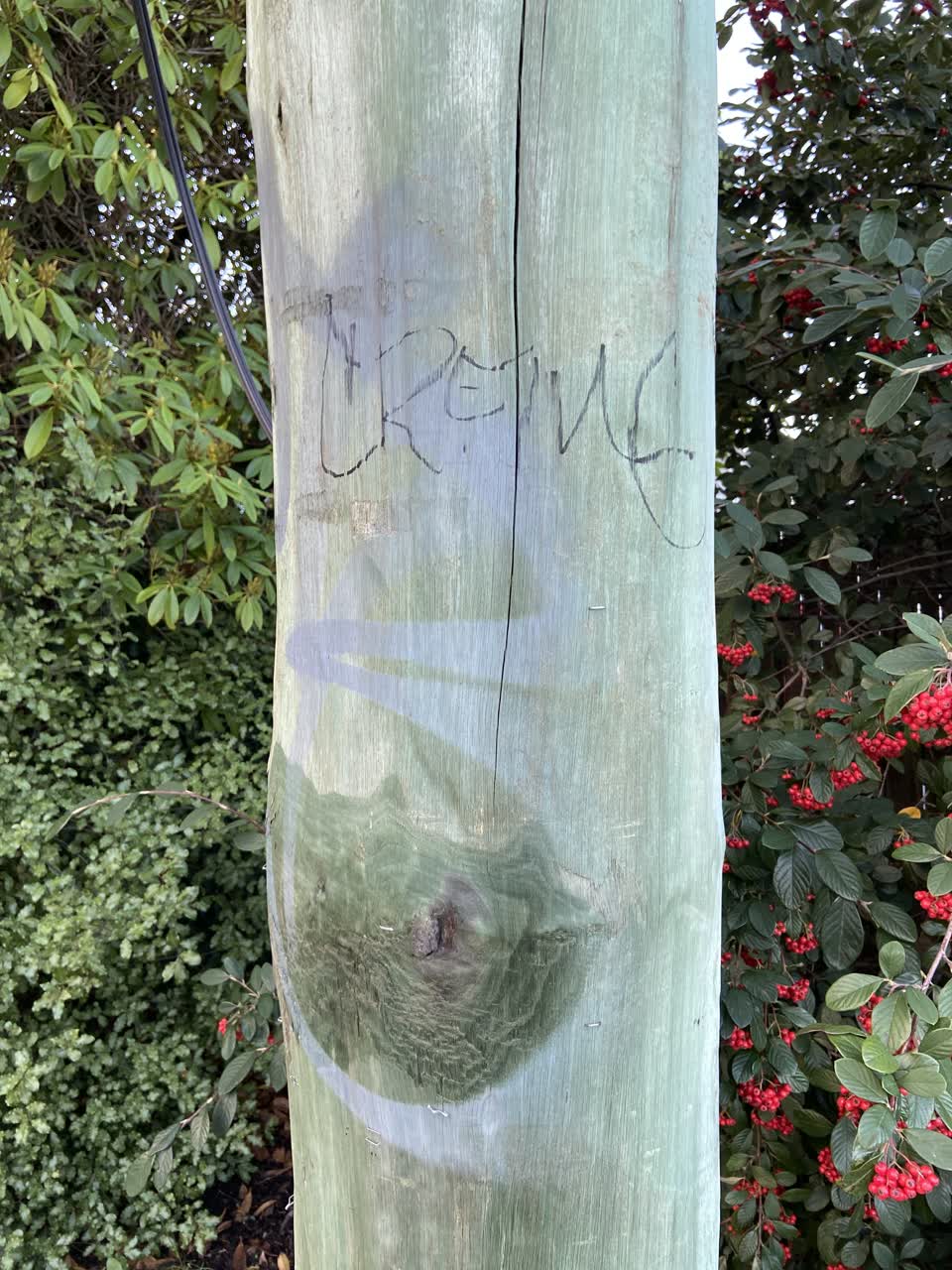The photograph attached to this graffiti report