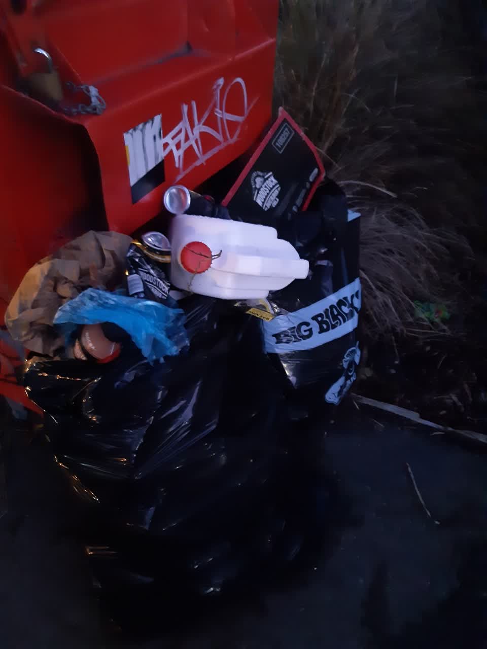 The photograph attached to this rubbish/recycling report