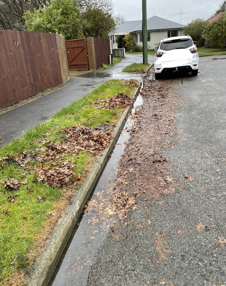 The photograph attached to this roading/streets report