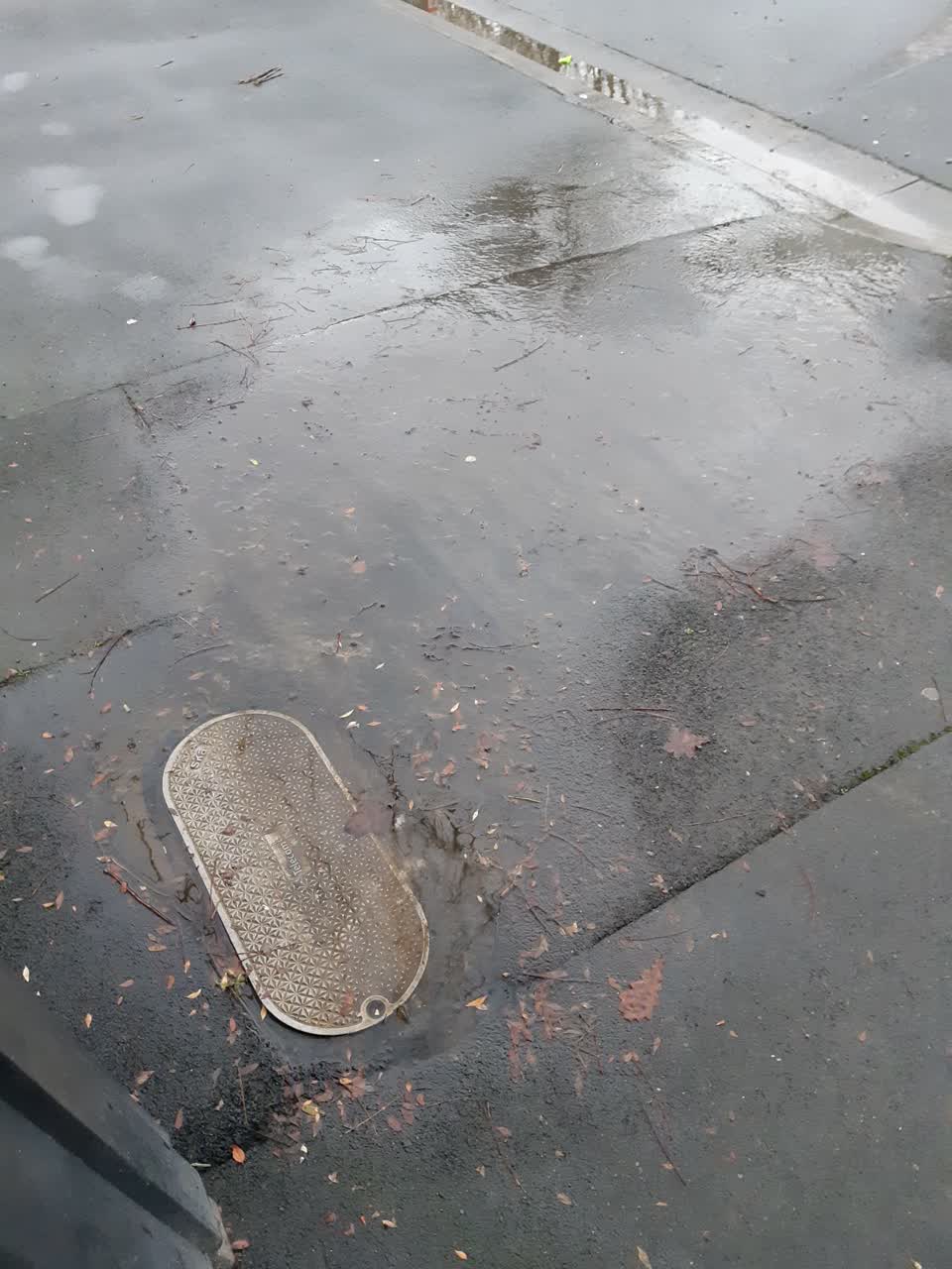 The photograph attached to this water leak report