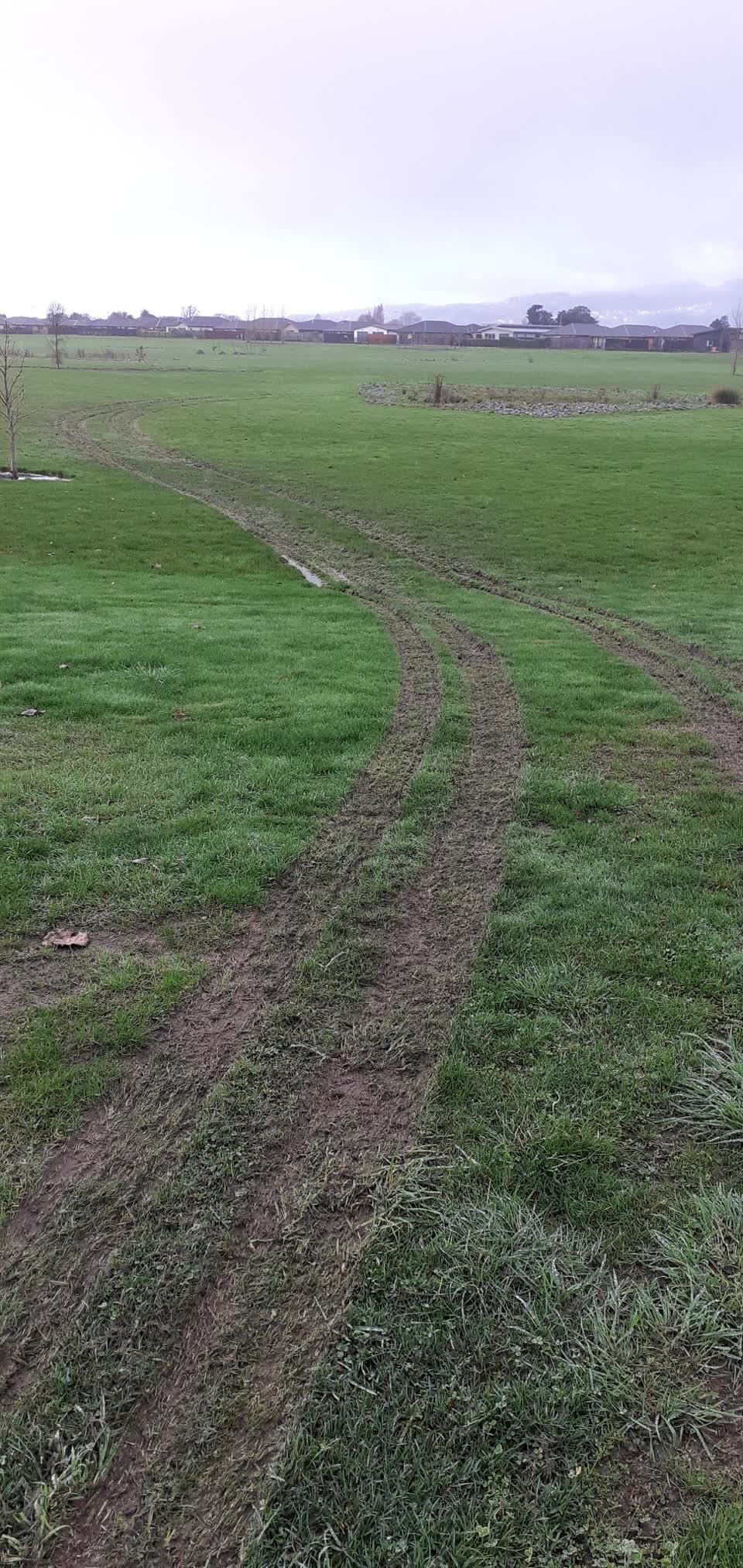 The photograph attached to this parks report