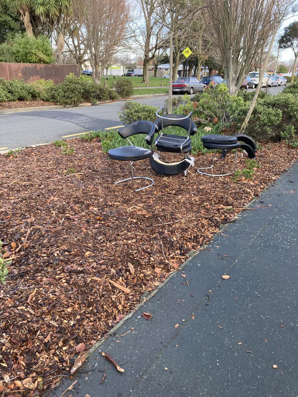 The photograph attached to this rubbish/recycling report