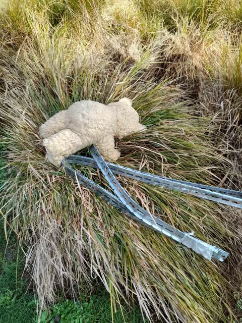 Rubbish/Recycling, a report photo