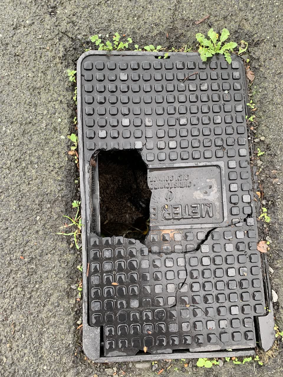 The photograph attached to this sewer - general report