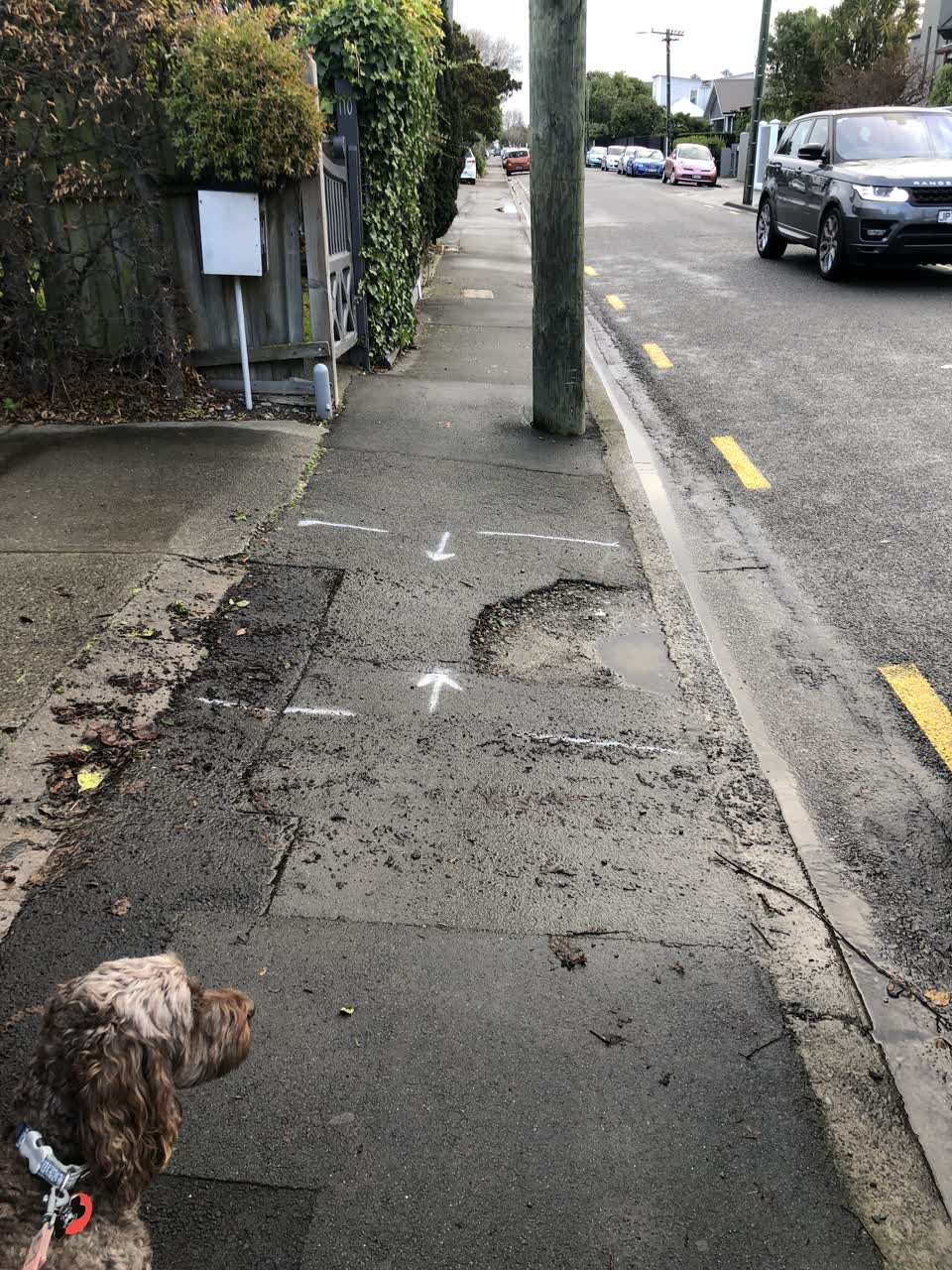 The photograph attached to this roading/streets report