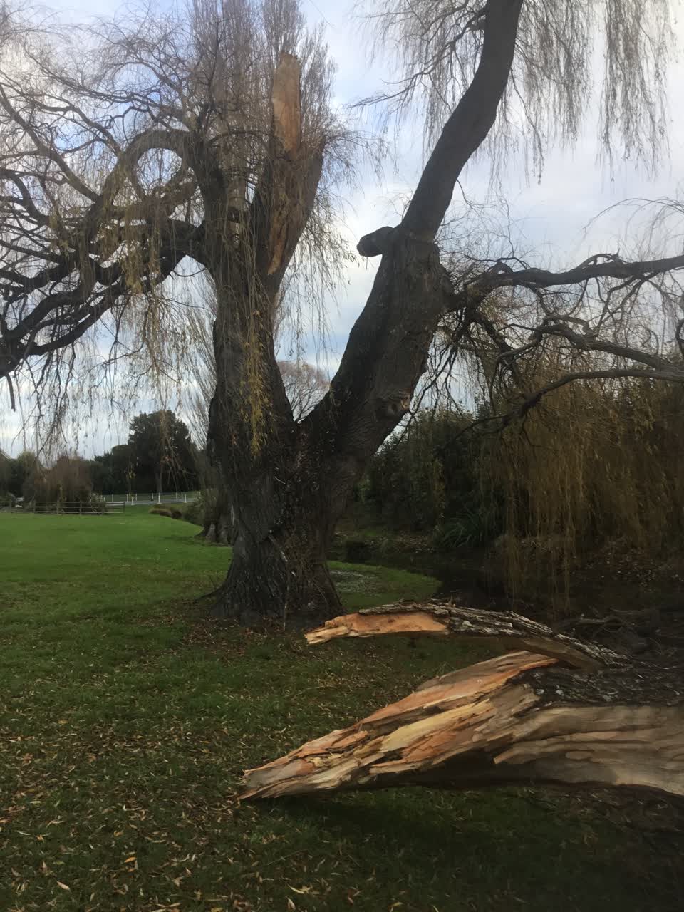 The photograph attached to this parks report