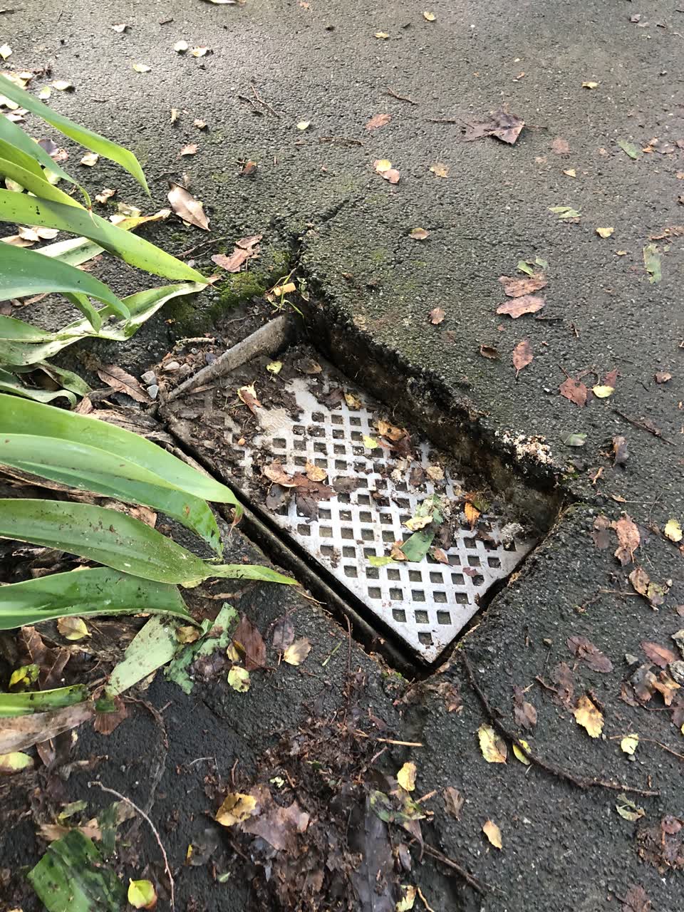 The photograph attached to this water supply report