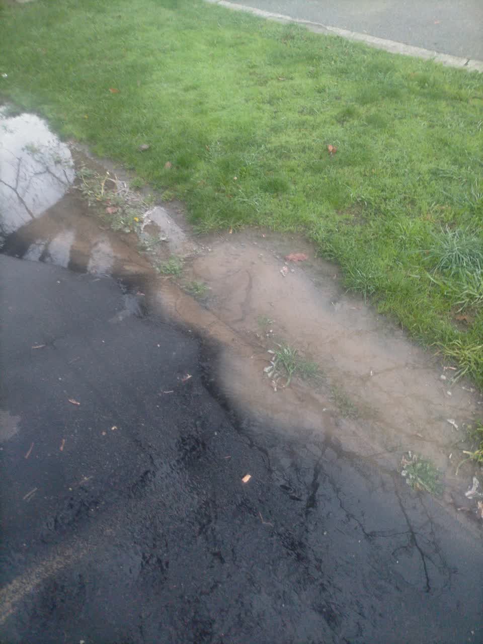 The photograph attached to this water leak report