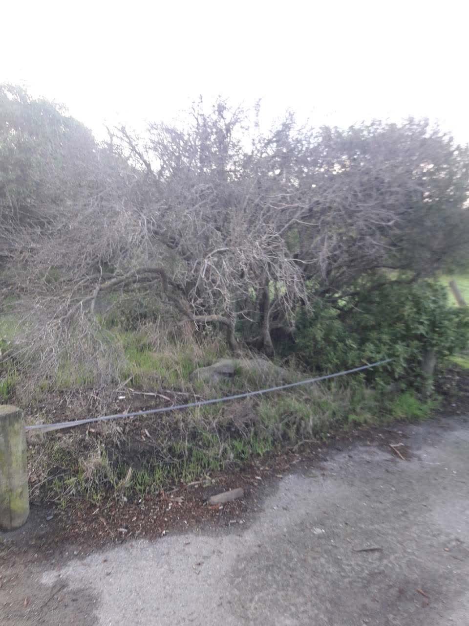 The photograph attached to this parks report