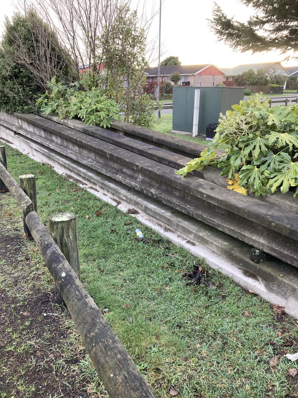 The photograph attached to this parks report