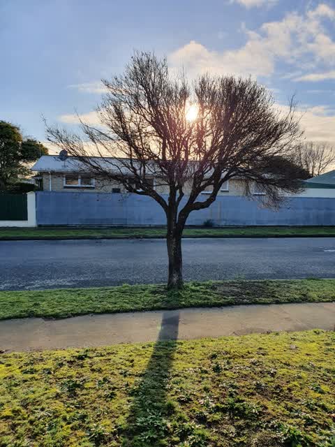 Roading/Streets, a report photo