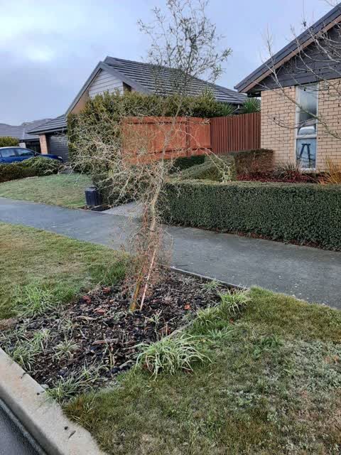 Parks, a report photo