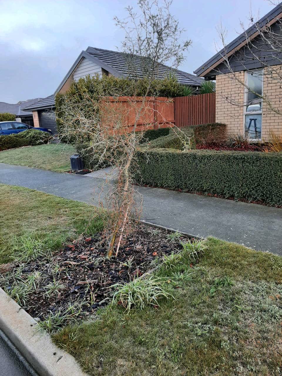 The photograph attached to this parks report