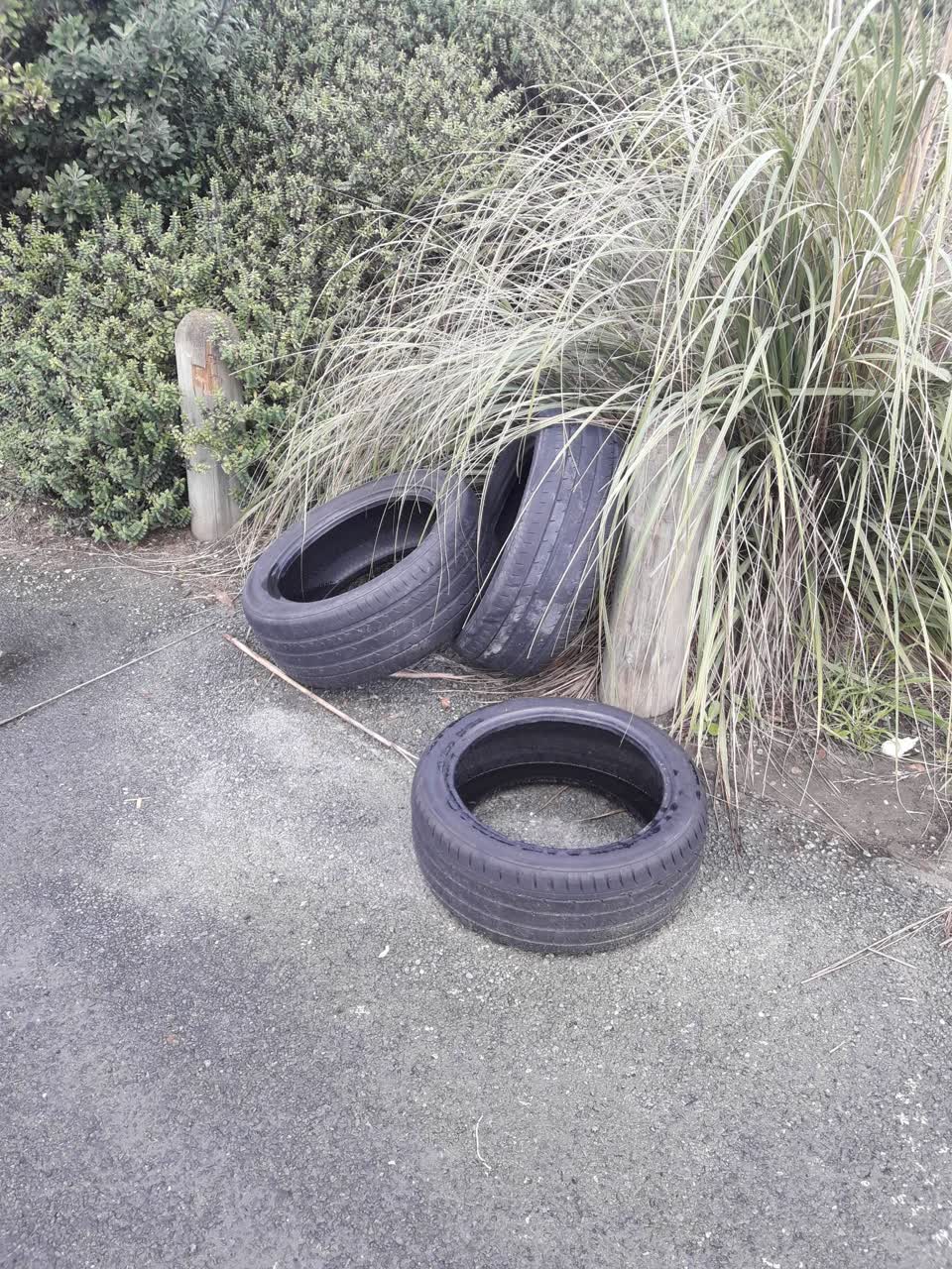 The photograph attached to this parks report