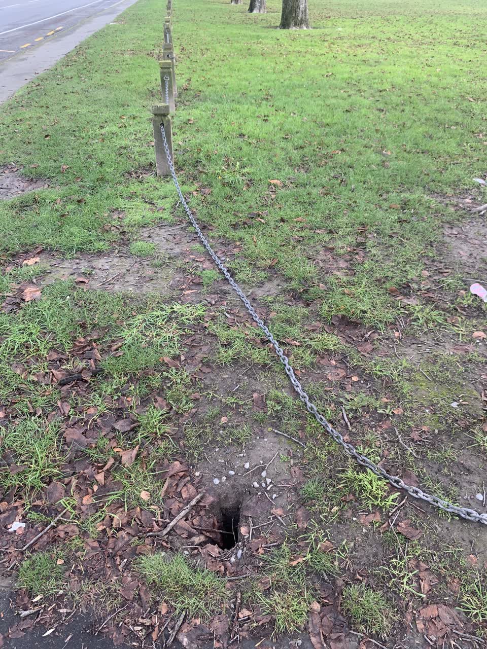 The photograph attached to this parks report