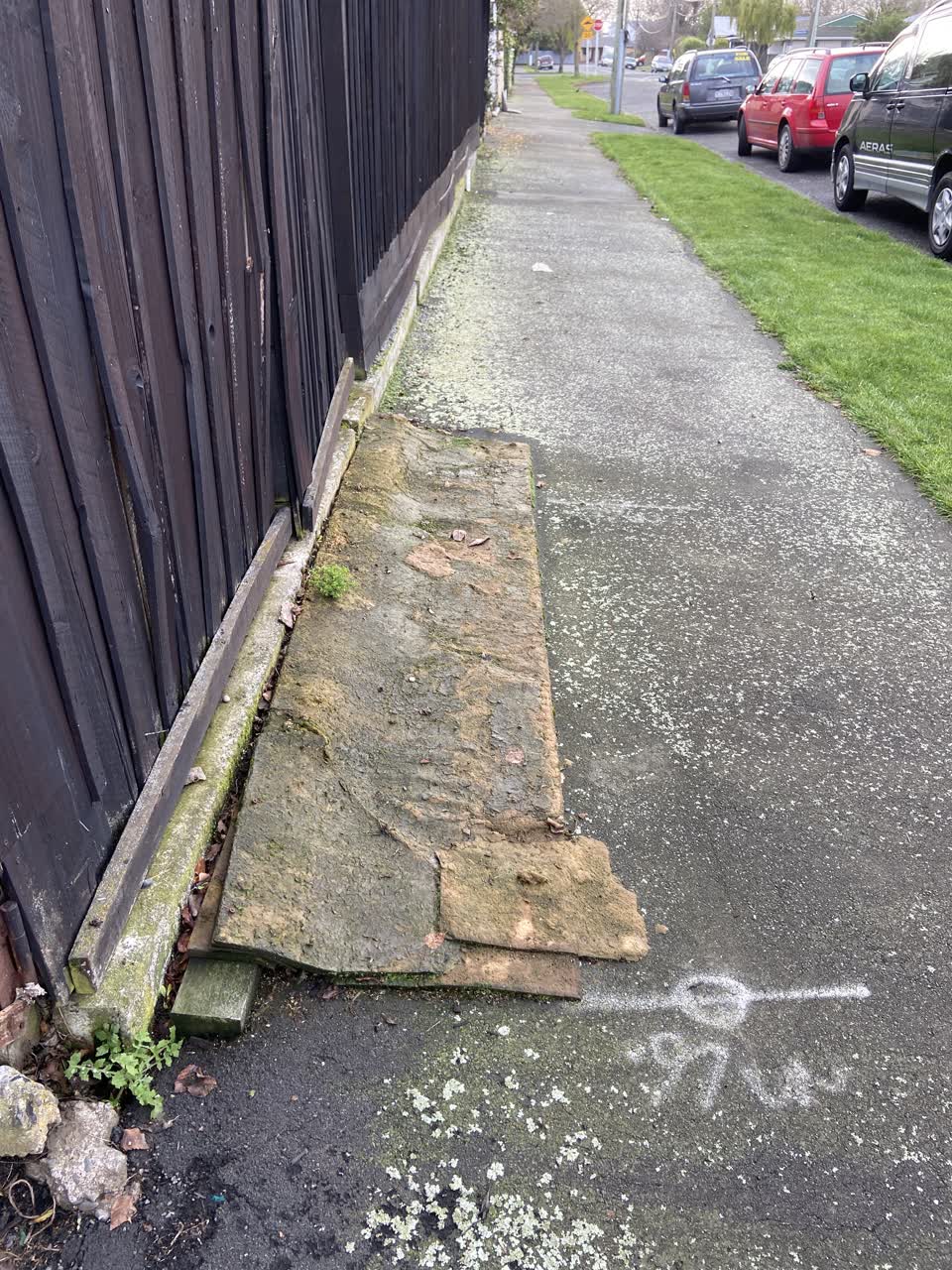 The photograph attached to this rubbish/recycling report