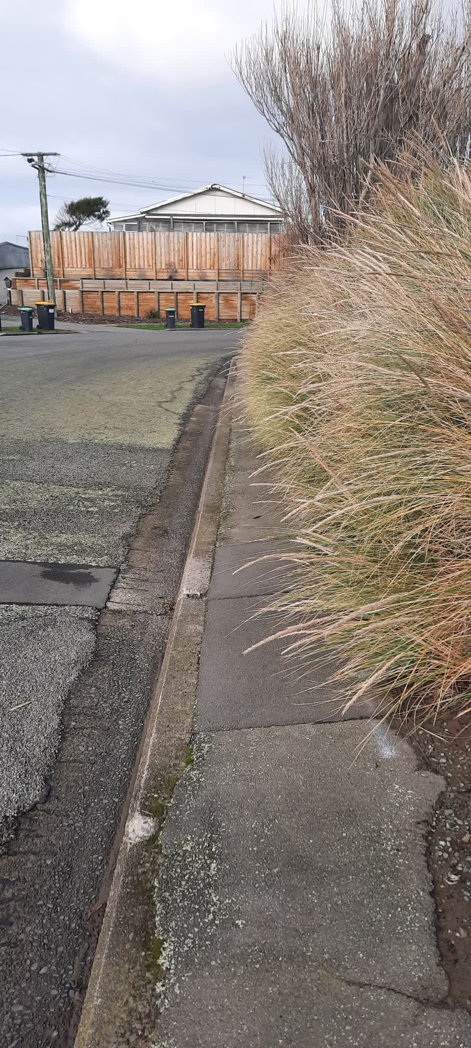The photograph attached to this roading/streets report
