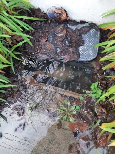 Water Leak, a report photo