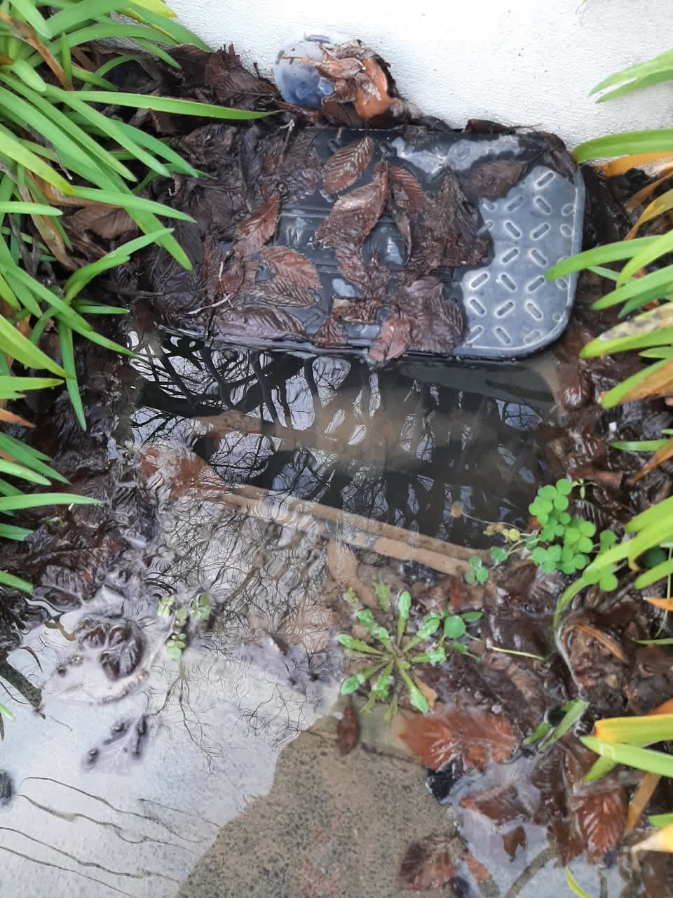 The photograph attached to this water leak report