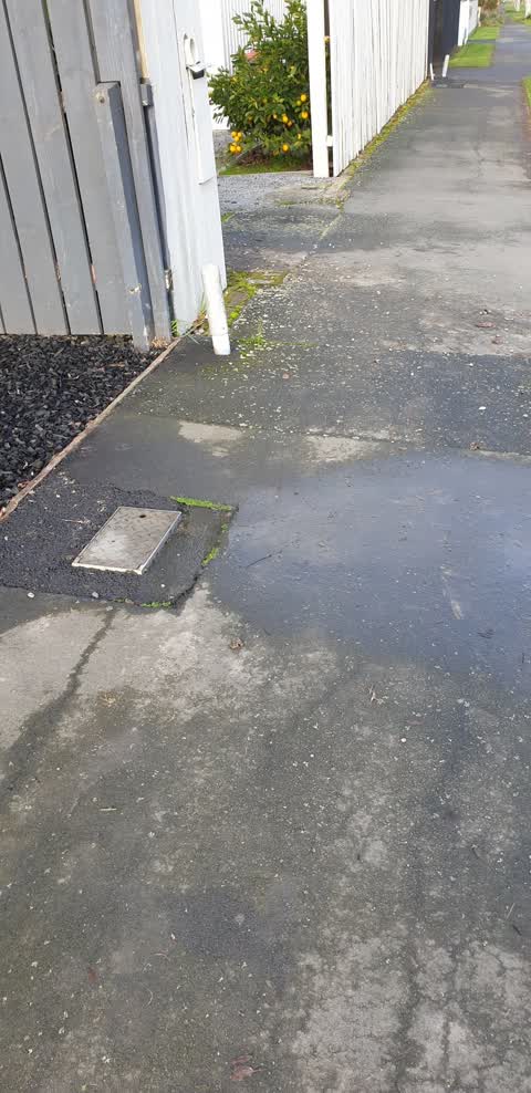 Water Leak, a report photo