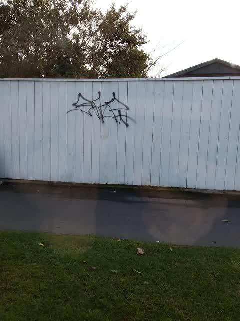 Graffiti, a report photo