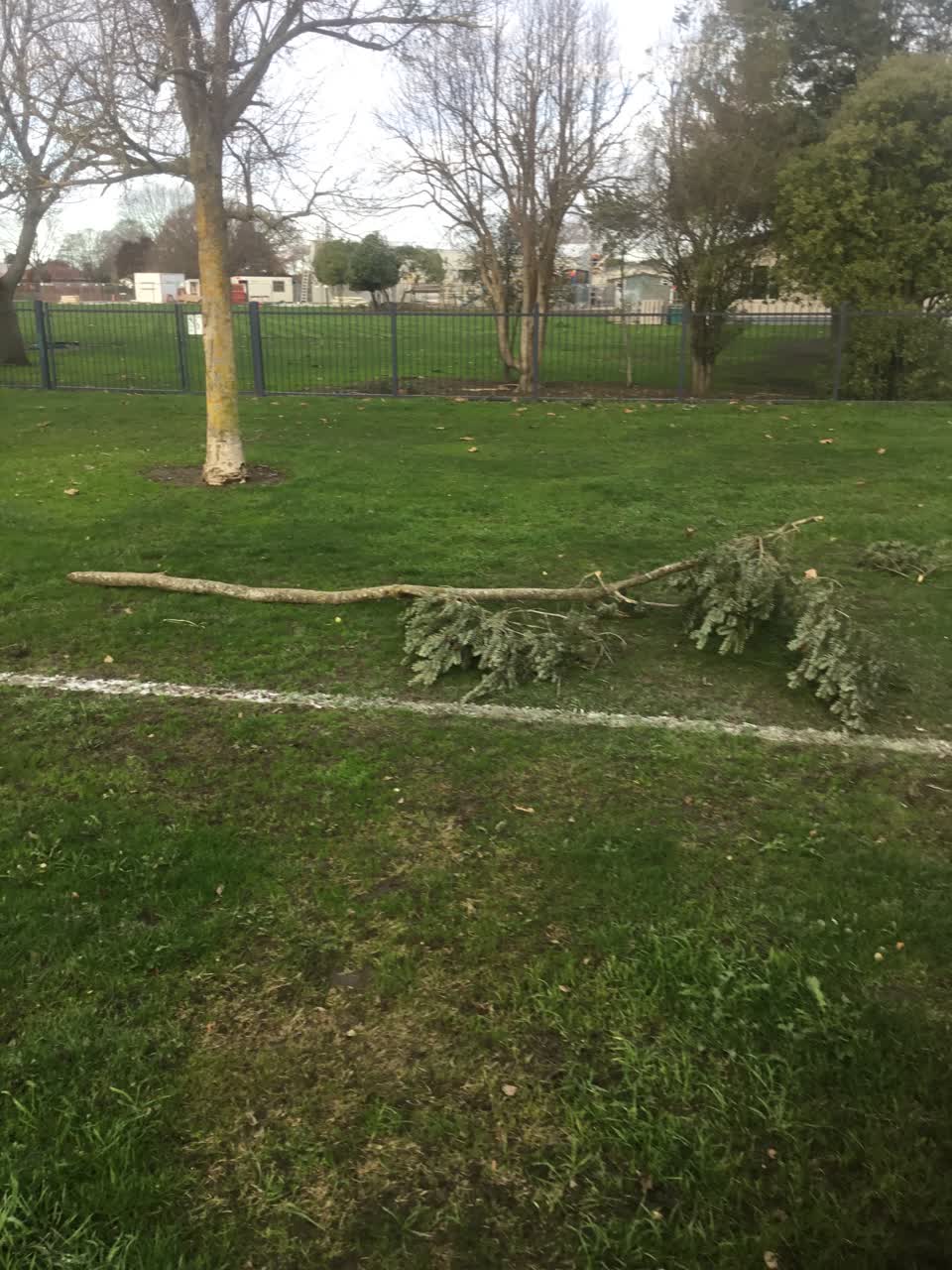 The photograph attached to this parks report