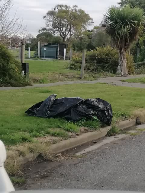 Rubbish/Recycling — a report photo