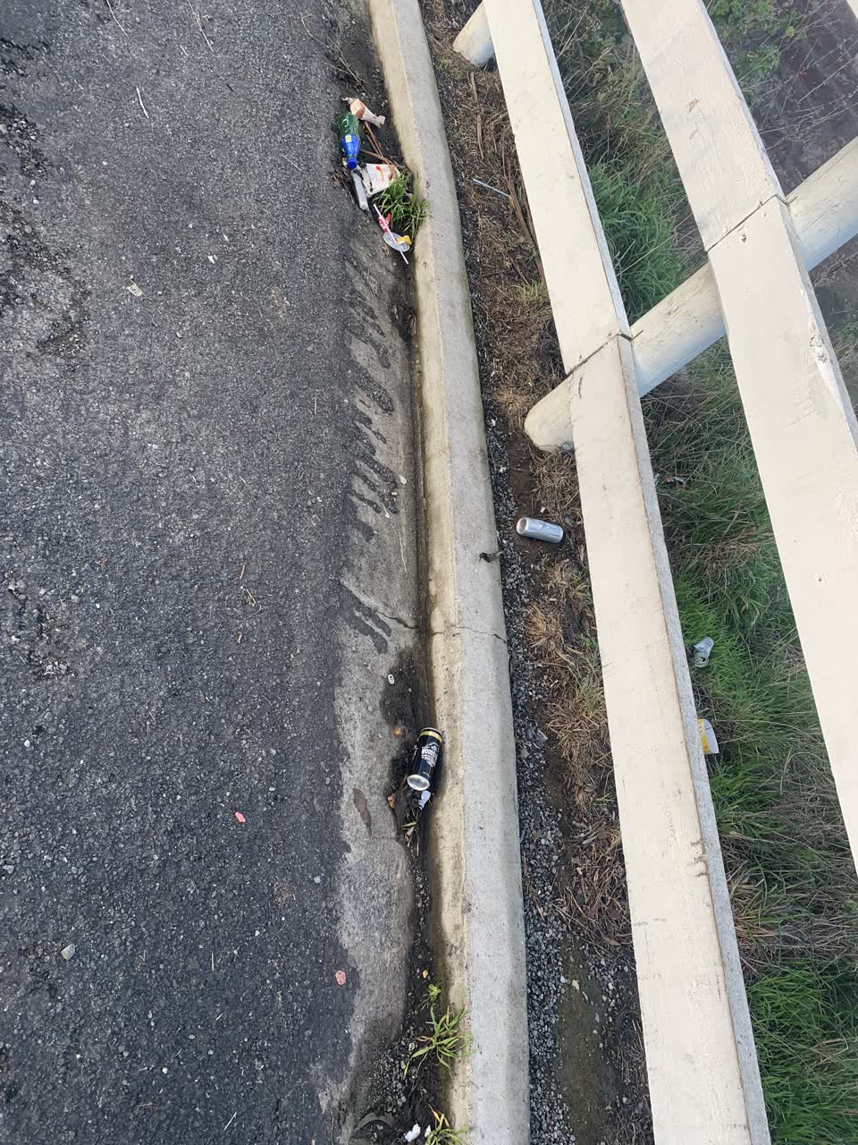 The photograph attached to this rubbish/recycling report