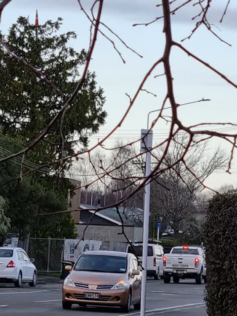 Parks, a report photo