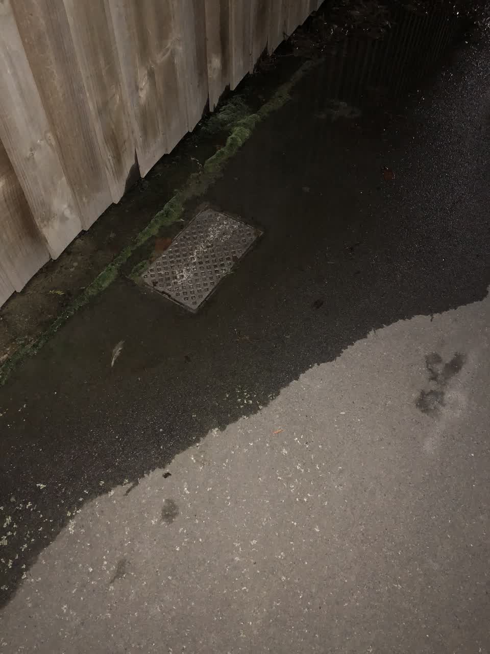 The photograph attached to this water leak report