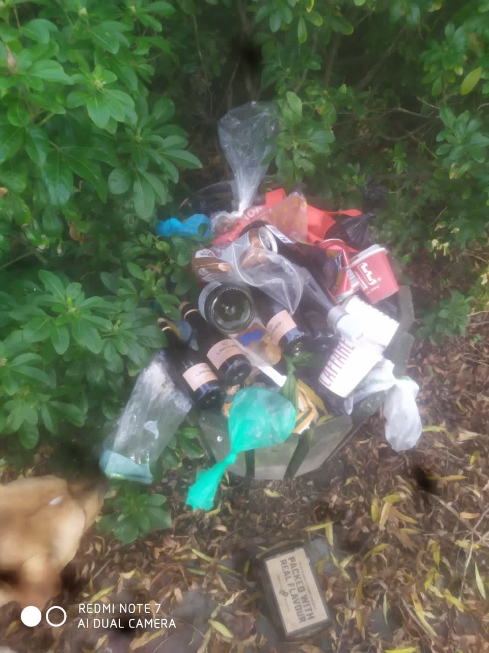 The photograph attached to this rubbish/recycling report