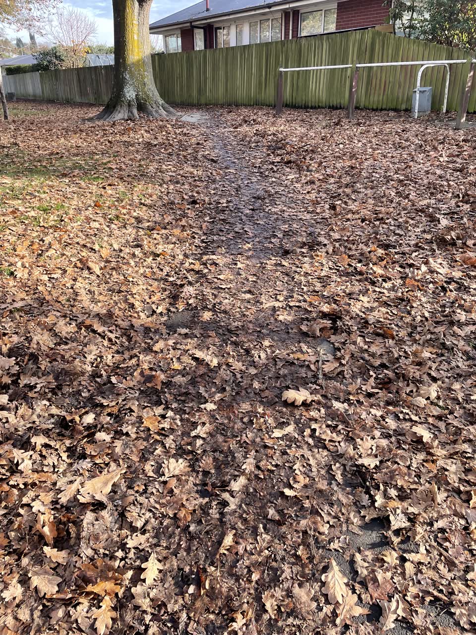 The photograph attached to this parks report