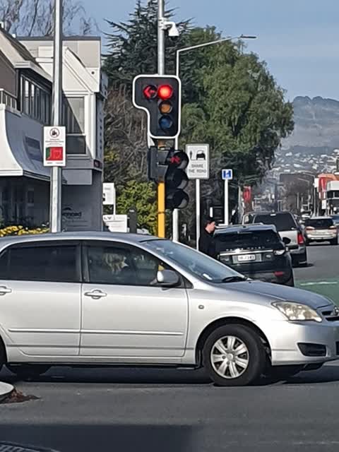 Roading/Streets, a report photo